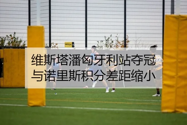 维斯塔潘匈牙利站夺冠 与诺里斯积分差距缩小